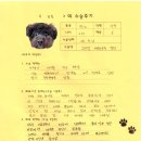 1262 | [#1262] 토토(양측 고관절 대퇴골두절제술)의 수술후기