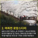 ♣3/29(수)진해 벚꽃 군항제(여좌천+경화역)장복산 산행 이미지