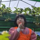 국가대표 SH 태권도장 이미지