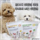 덴탈엔 | 강아지 치아관리 추천템! 주베베 비건 덴탈껌 내돈내산 후기