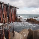 구룡포대게과메기해산물 이미지