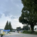 레이즈(Laze) 이미지