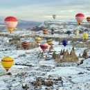 수댕이네 이미지