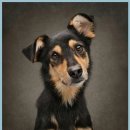 계양동물병원 이미지