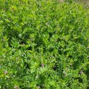 샘발회관 이미지