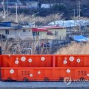 삼척 도계읍 도계느티로 강원 연합뉴스