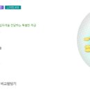 내리사랑 이미지