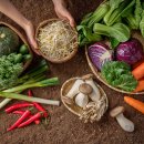 다사읍 행정복지센터 서재출장소 이미지