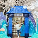 축제장길(안흥동,옥야동) | 안동 벚꽃축제 _ 주차, 포토존 방문 후기