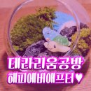 종로 테라리움공방 해피에버애프터 후기
