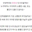 멍앤냥 강아지고양이 안양점 이미지