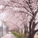 노블인테리어 - 성북구 삼선교로10다길 33-1 | 노블인테리어