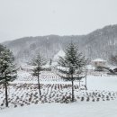 양구 대암산(24.1.14)7 이미지