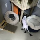 육칠이 - 안양시 만안구 양화로97번길 6 | 육칠이