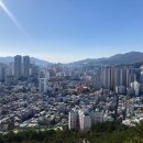 수영SK뷰행운공인중개사사무소 | 부산 망미동 망미 8구역 재개발구역 내 단독주택 매매