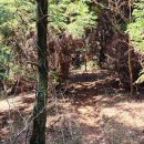 용와목장 이미지