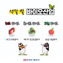 화이트환경
