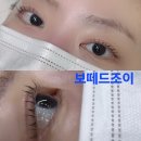 보떼 드 조이