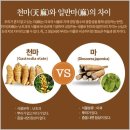 천마 | 무주 천마가루 무주천마분말 남영제약 천마의효능 가격 후기,추천 무주천마즙: