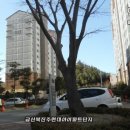 현대파크공인중개사합동사무소 이미지