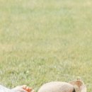 하늘마당 이미지