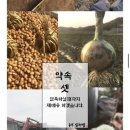 농부심 이미지