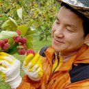 나나농장 이미지