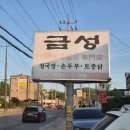 양지기획 티스토리