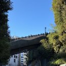 신사-214 이미지