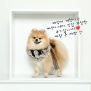 달샘목장 이미지