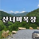 별빛목장 | [강원 평창] 산너미목장 캠핑장 후기｜가족과 함께한 자연 속 힐링 타임💚