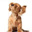 세명약국 이미지