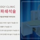 쎈비뇨기과