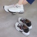 5003 이미지