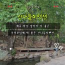 산나들이민박 | 청도독채펜션 산나들이펜션 후기｜계곡 바로 앞 청도가족모임펜션 추천