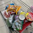 품안에 서해바다 이미지