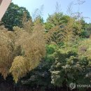 오석초등학교 이미지