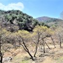 농막목장 이미지