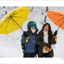 성철목장 이미지