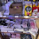 현대자동차(후포점) | 울릉도 배편 울릉크루즈 뉴씨다오펄 이용후기 및 예약방법 안내