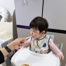 11 | 닥터리의 로하스밀 이유식 후기 11개월 아기 시판 대만족 추천 후기