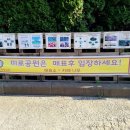 안면도해마루관광농원 | 태안 아이와 가볼 만한 곳, 충남투어패스로 즐긴 안면도 미로공원