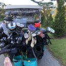 임페리얼CC(대중제) 이미지