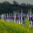 5월 구리시 유채꽃축제*^^* 이미지