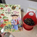 해바라기북스 | 어린이필독서 마음이 자라는 키위북스 처음부터제대로 마음성장 동화 2권 후기