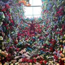 금학목장 이미지