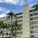 띵스 컴퍼니 | 호놀룰루쿠키, 와이키키 크리스마스 스토어, 에그앤띵스, 알로힐라니 호텔수영, 치즈케이크팩토리, 로스