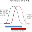 숙면을 돕는 멜라토닌을 분비하는 송과체 이미지