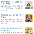 옐레드 시흥은계호수점 | 시흥애견유치원,호텔｜시흥은계호수점의 시원한 여름이야기