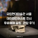 성경약국 | 국립현대미술관 데미안허스트 전시 매진시 예매 꿀팁과 관람 후기!